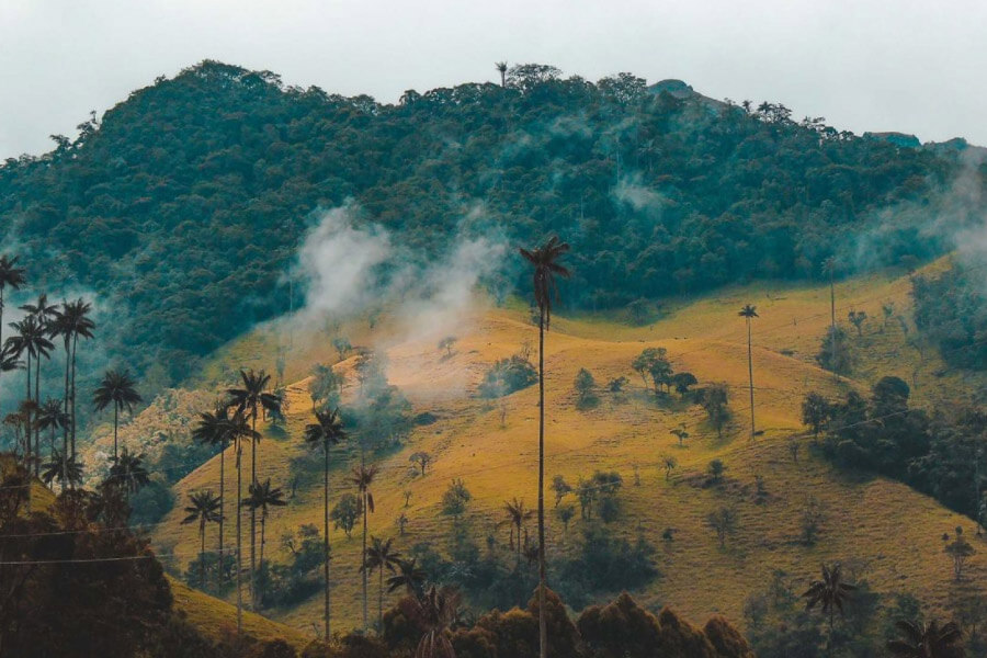 love-Colombia-paisaje-inicio